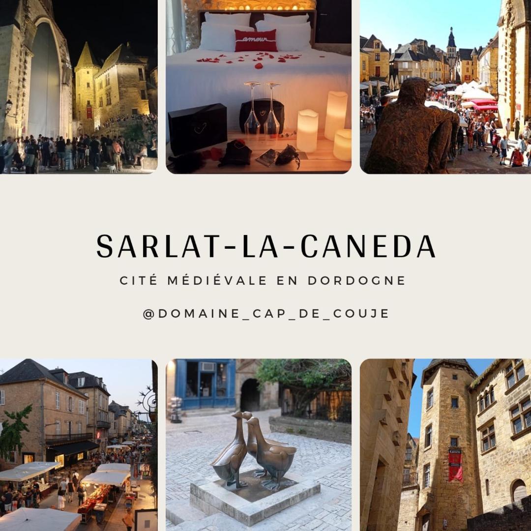 Douceur De Vivre A Sarlat别墅 外观 照片